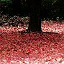 Іра Бабік фотография #37 (источник - https://vk.com/id69699902)