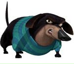 Фотография Босовой Марины