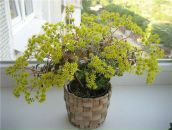 Фотография Бардовской Леночки