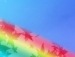 Марта ♥♥♥♥♥♥♥ фотография #10 (источник - https://vk.com/id134181905)