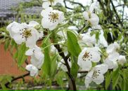 Сергій Гурінчук фотография #19 (источник - https://vk.com/id12433093)