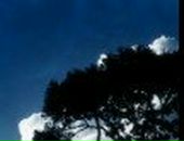 Іван Трейтяк фотография #19 (источник - https://vk.com/id35997607)