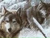 Петро Ліневич фотография #26 (источник - https://vk.com/id96289552)