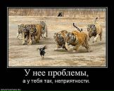 Серега Апілат фотография #12 (источник - https://vk.com/id29340156)