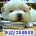 Юля Петрик фотография #15 (источник - https://vk.com/id127800707)