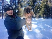 Фотография Щеблова Николая