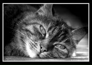 Либа Симоненко фотография #9 (источник - https://vk.com/id15219335)