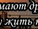 Ладочка=)) Мауся фотография #41 (источник - https://vk.com/id103100155)