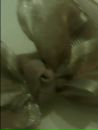 Лєрчик Кіссс фотография #1