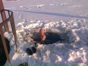 Міша Грабар фотография #19 (источник - https://vk.com/id68348988)