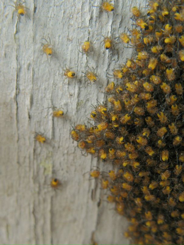 Анна Гридина фотография #31