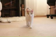 Фотография Зивы-Черновой Ярославы