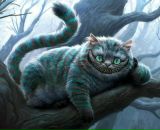 Фотография Chai Funk