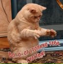 Віра Піташевська фотография #32 (источник - https://vk.com/id73219309)