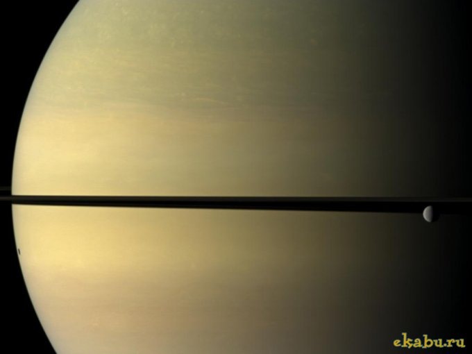 Антон Засада фотография #12