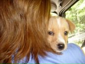 Фотография Шевелевой Натальи