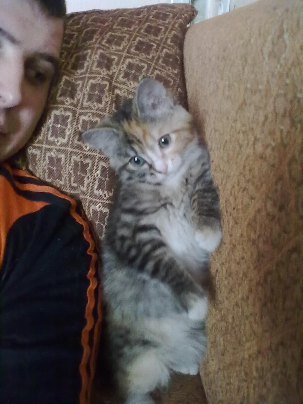 Ольга Софьина фотография #10