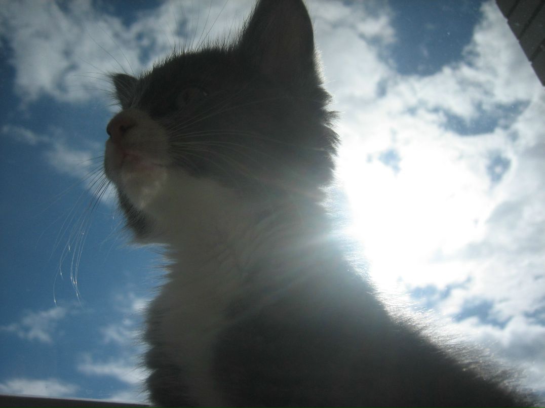 Йа Еее фотография #50