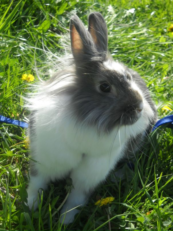 Наталя Табун фотография #30