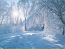 Вітусічка Шетерляк фотография #32 (источник - https://vk.com/id146274371)