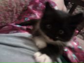 Фотография Волошиной Анны