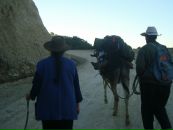 Marlon Al-Maida фотография #22 (источник - https://vk.com/id3142368)