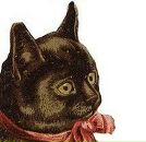 Юля Кимаева фотография #1