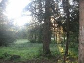 Віталій Рябінін фотография #50 (источник - https://vk.com/id78936186)