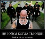 Дима Никитин фотография #12 (источник - https://vk.com/id22947683)