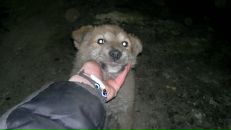 Виктор Демчик фотография #14 (источник - https://vk.com/id136729652)