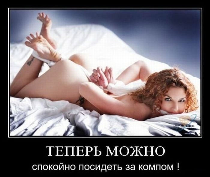 Вел Вел фотография #34