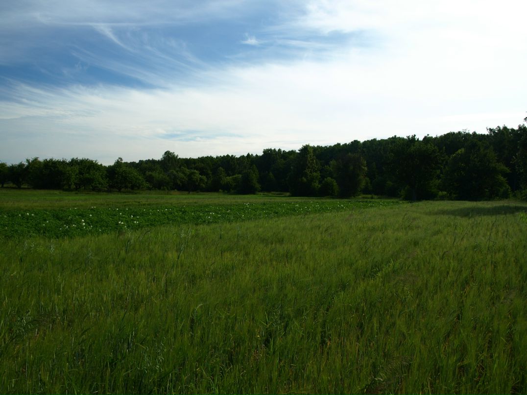 Sup Sup фотография #36