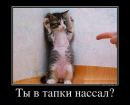 Анна---Марія Надіївська фотография #11 (источник - https://vk.com/id160668221)