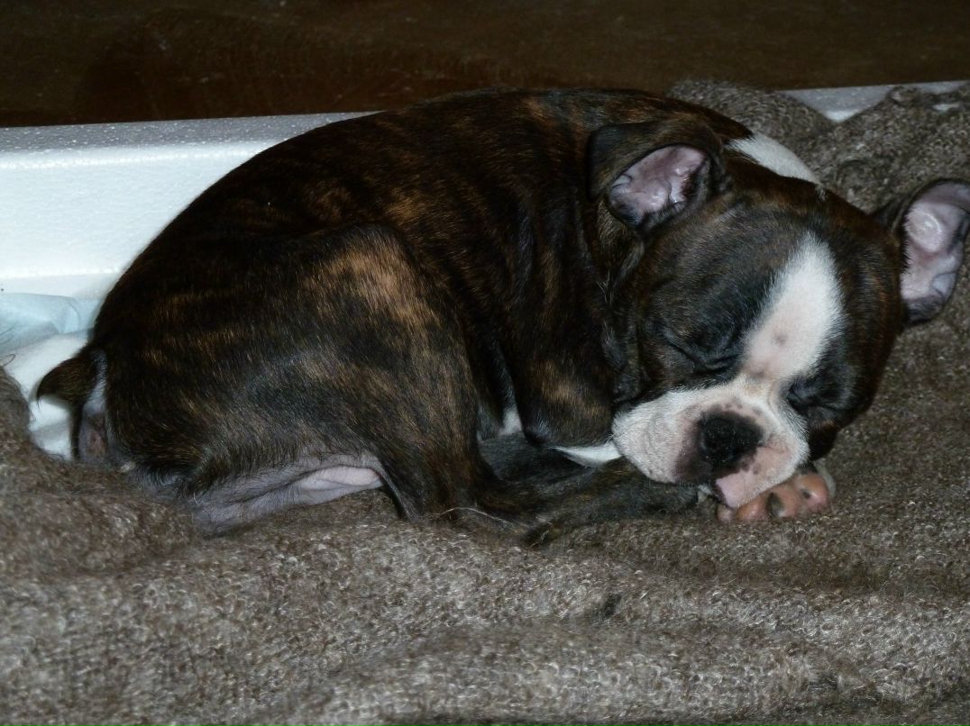 Дмитрий Павличенко фотография #45