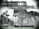 Владік Кізман фотография #1