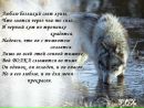 Фотография Платонова Татьяна