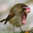 Фотография Громова Дмитрия