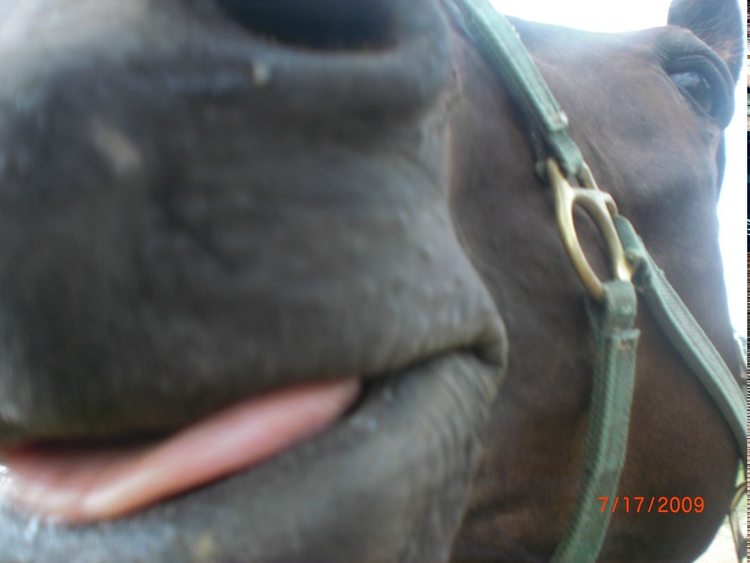 Сергей Черкавский фотография #49