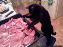 Марія Йосифів фотография #23 (источник - https://vk.com/id149421293)