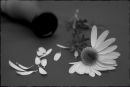 Фотография Исаковой Регины
