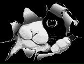 Фотография Зубанова Дмитрия