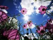 Фотография Бугханми Елены