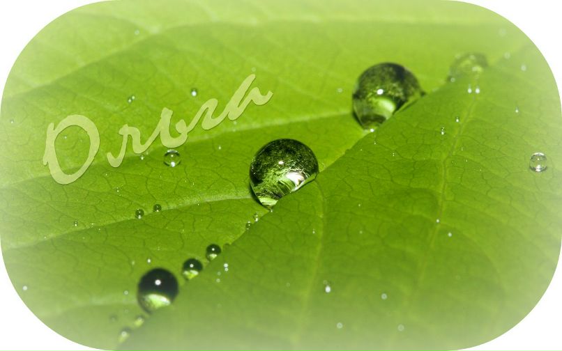 Оля Муранець фотография #44