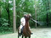 Фотография Маргаряна Армена