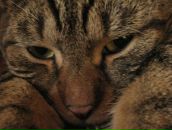 Фотография Касиковой Маргариты