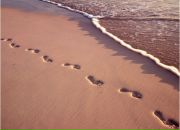 Фотография Zzzhukova Tatyana