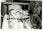 Фотография Лесной Сони