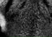 Андрій Мартиненко фотография #7 (источник - https://vk.com/id60899652)