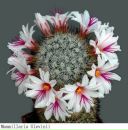 Фотография Балабиной Тани