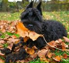 Фотография Вик Алины